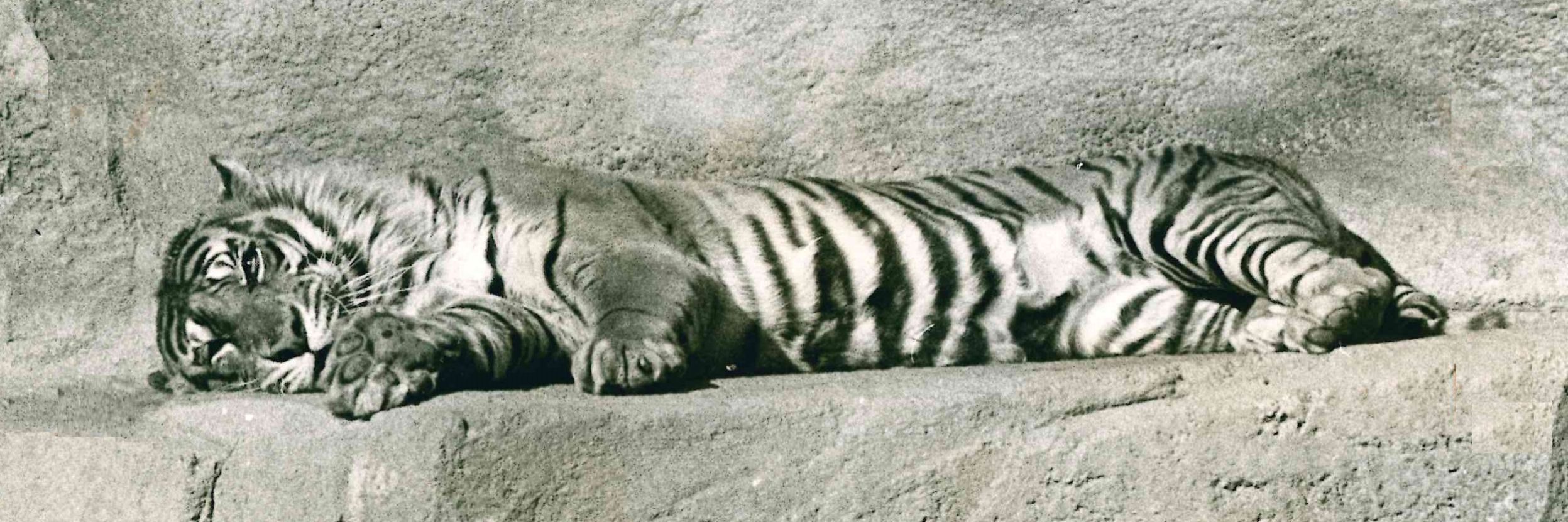 1979 photo